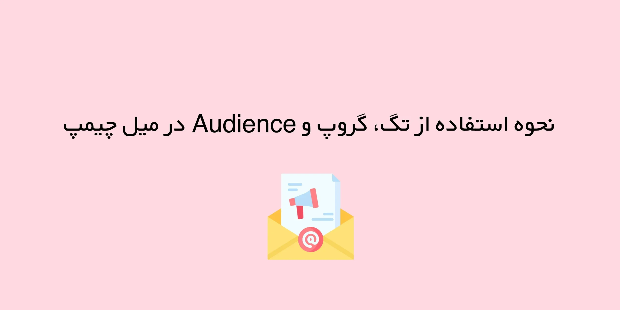 نحوه استفاده از تگ، گروپ و Audience در میل چیمپ